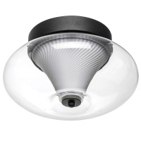 Светильник настенно- потолочный Palermo Lightstar 612017