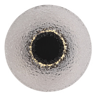 SL6142.411.01 Светильник настенный ST-Luce черный/дымчатый LED 1*7W 4000K ALUMNO